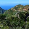 Tenerife: Island Tour - Image 2