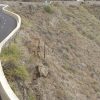 Tenerife: Road Cycling - East Coast - Image 3
