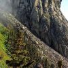 Tenerife: The Island Tour Of La Gomera - Image 5