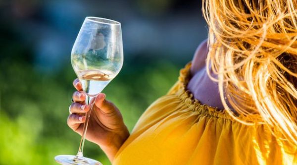 Barcelona: Wineries, Art & tapas - Private tour
