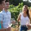 Barcelona: Wineries, Art & tapas - Private tour - Image 4