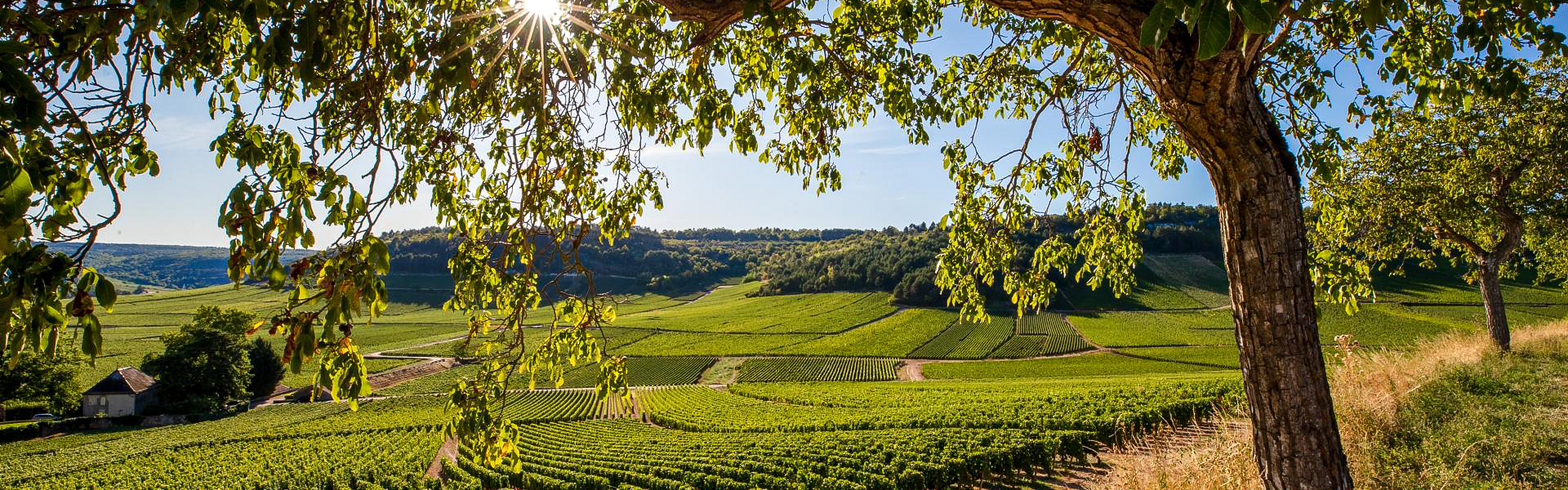 Beaune