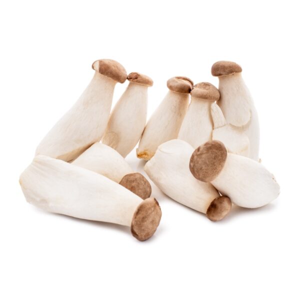 King oyster mushrooms MINI 1kg
