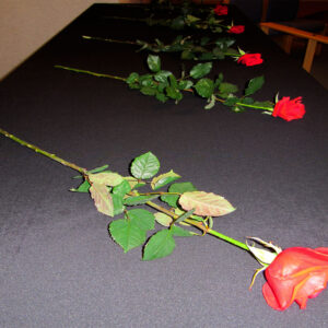 Skirdagur_Rosir_kubbur