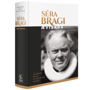 SrBragi-kapa3d_kubbur