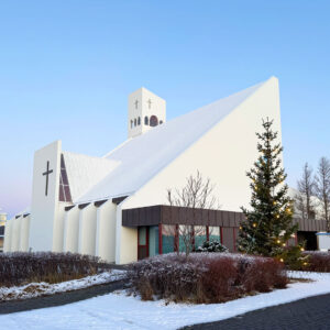 Vidalinskirkja_kubbur_IMG_9792