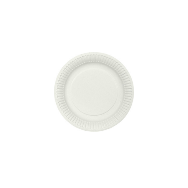 Pappadiskar einnota 15cm 100stk