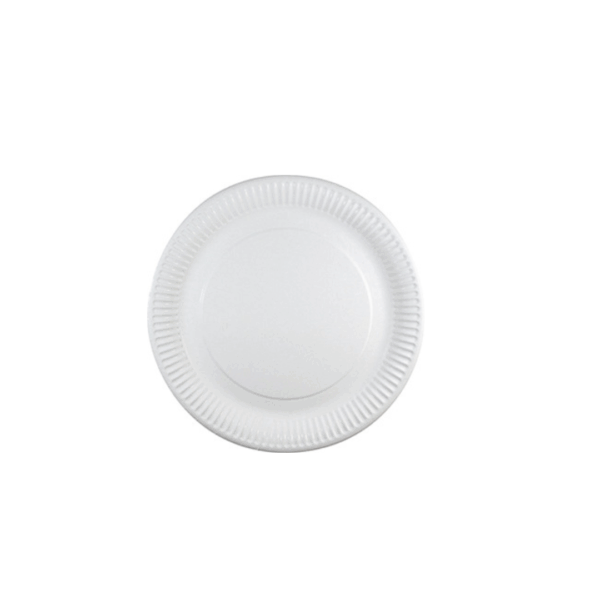 Pappadiskar einnota 22cm  50stk