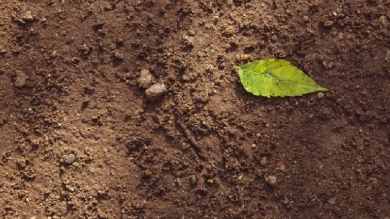 Finding out about soil