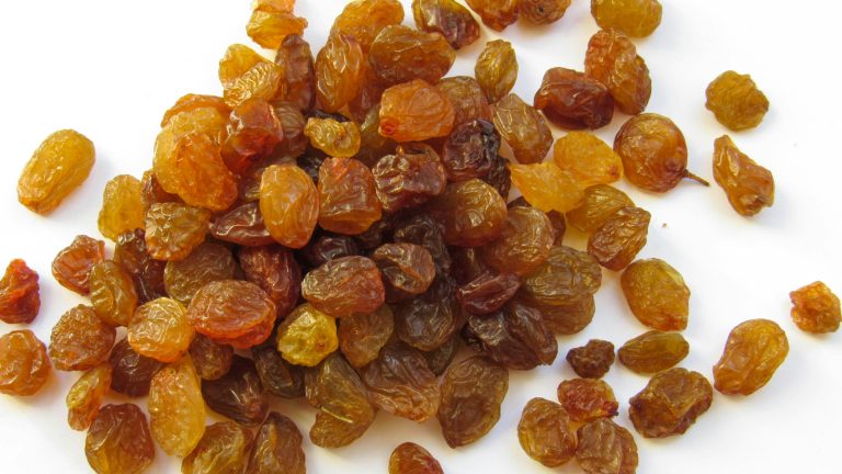 The Sultana Game – Understanding Fruit and Seed Dispersal