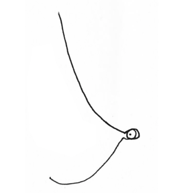 pez-ON, por Josep Camps