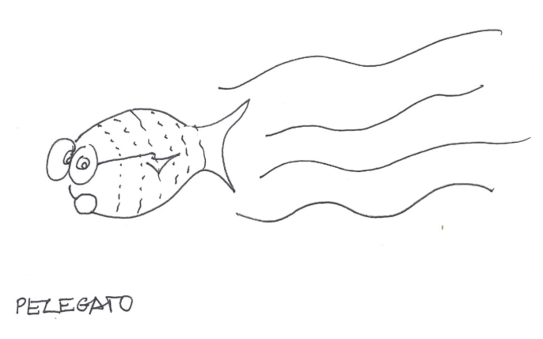 Pezegato, por Carlos Díaz-Recasens