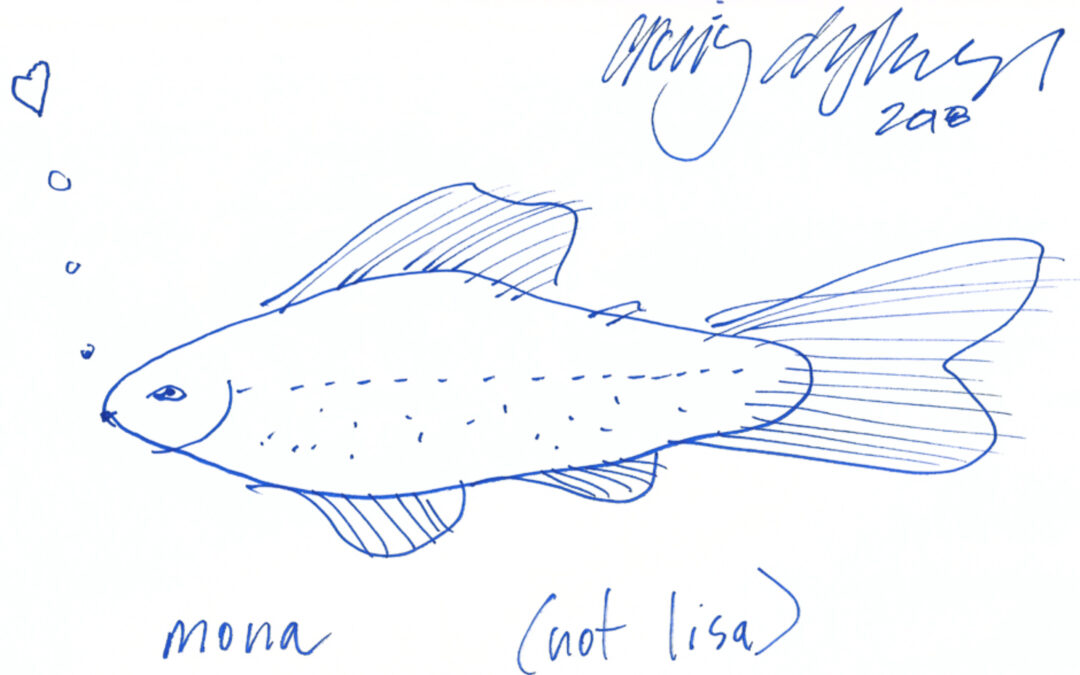 Mona (not lisa) fish, por Craig Dykers (Snøhetta)