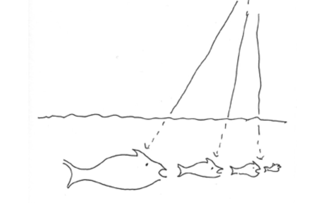 Shining light fish, por Etienne Borgos