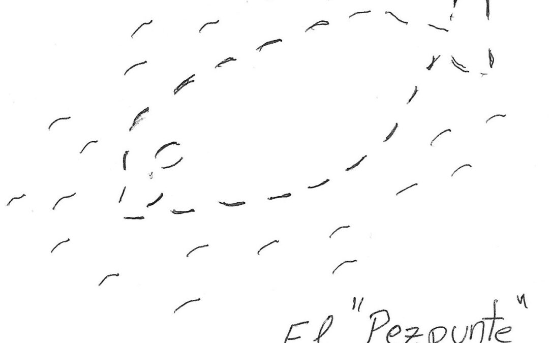 Pezpunte, por Irene Elorza