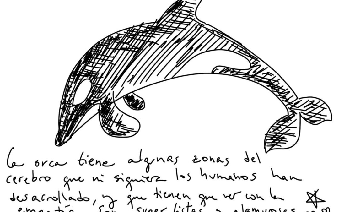 Orca Kardashiana, por TER