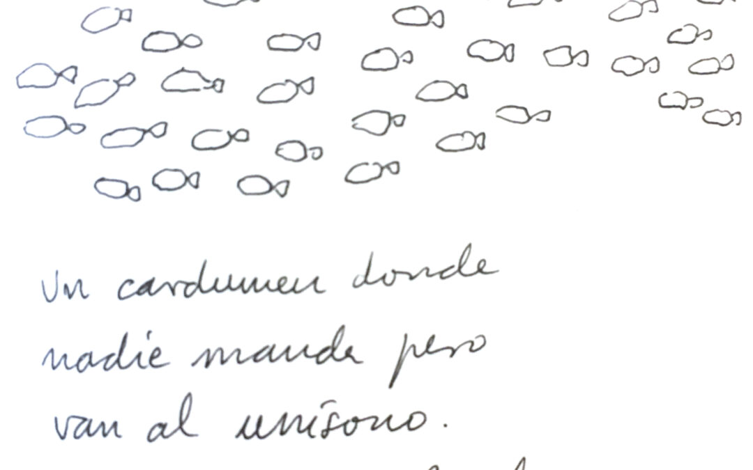 cardumen, por Salvador Rueda