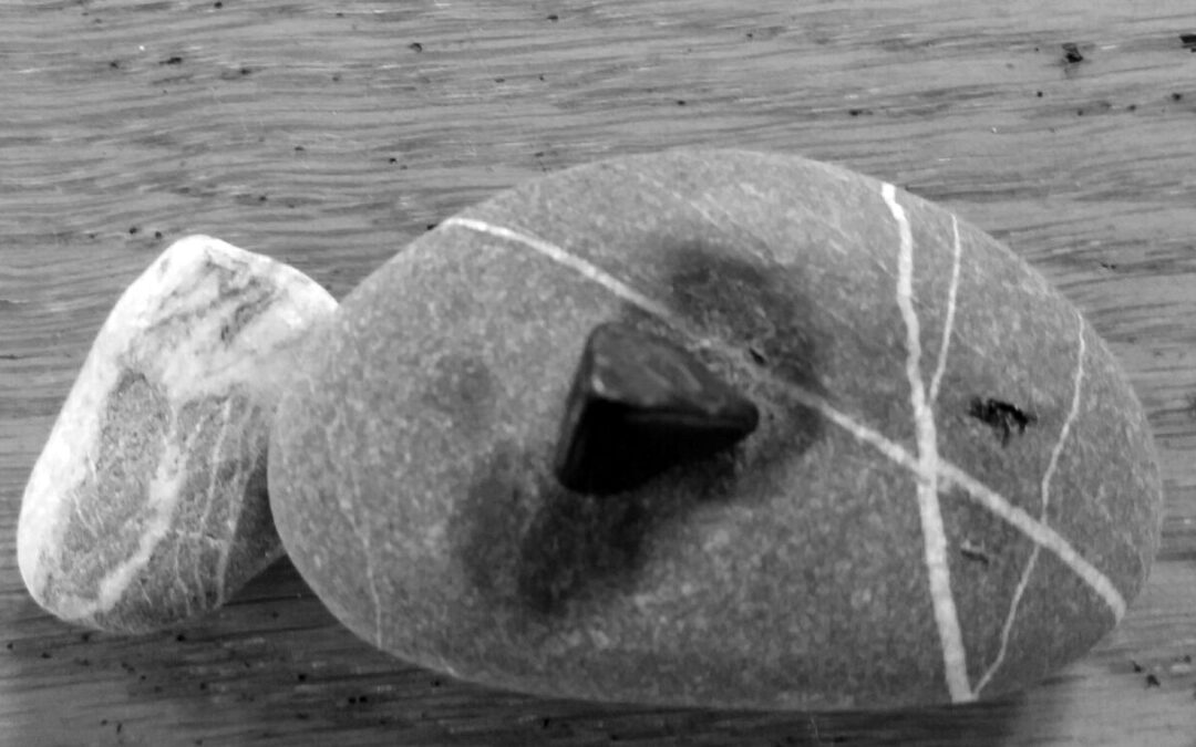 Pez Marger de Menorca, por Queralt Garriga