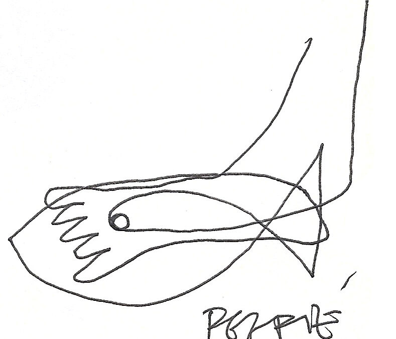 Pez pie, por Juan Creus