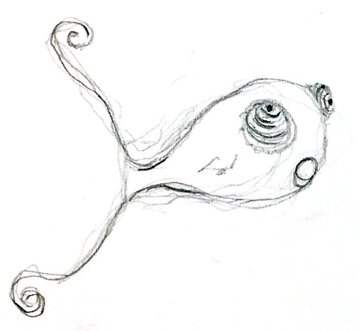 Pez Camaleón, por Elisabet Mallafré