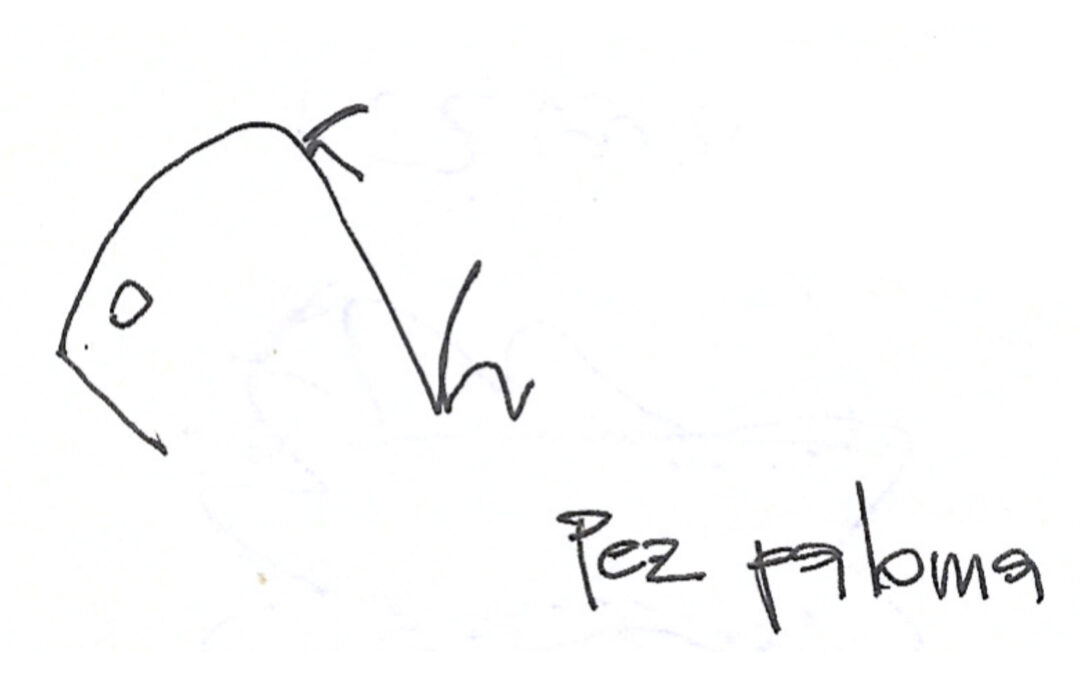 Pez Paloma, por Javier Esteban