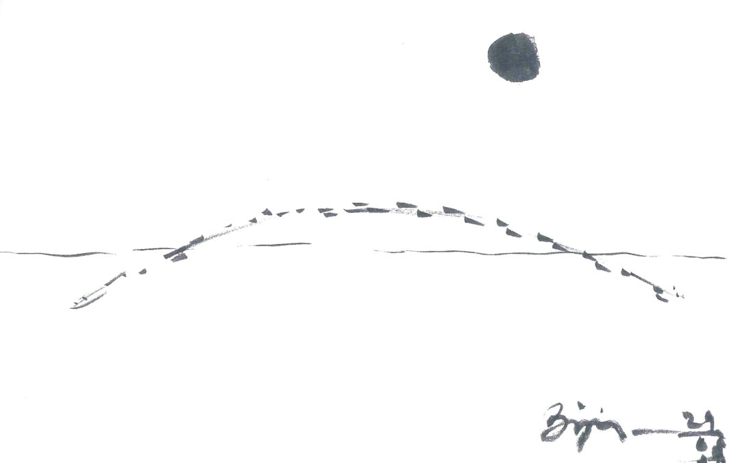 Flying fish, por Bijoy Jain