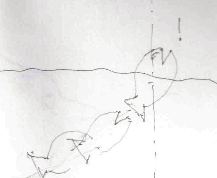 Verticalfish, por Andrea Simitch