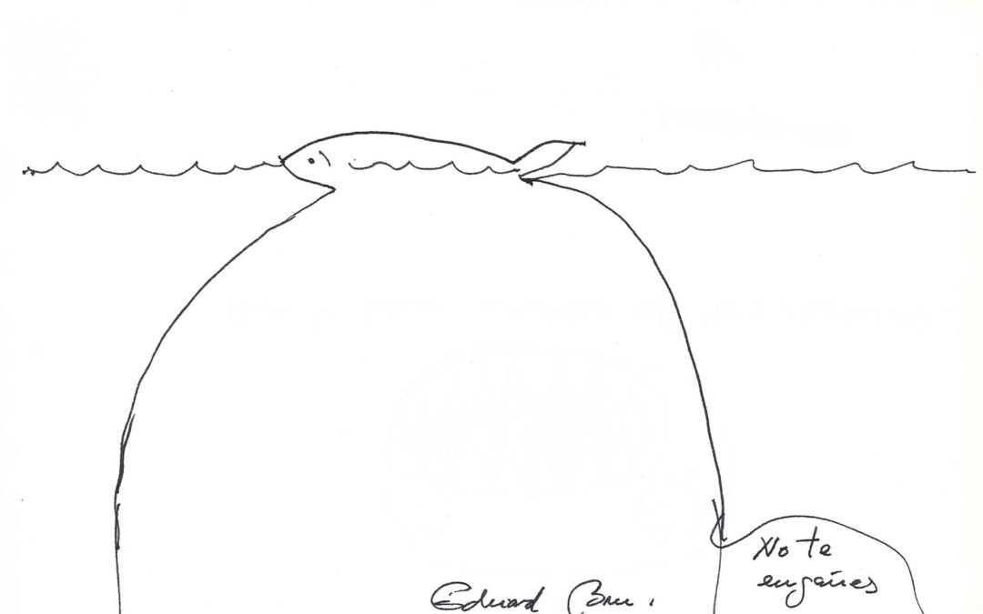 Pez no te engañes, por Eduard Bru i Bistuer