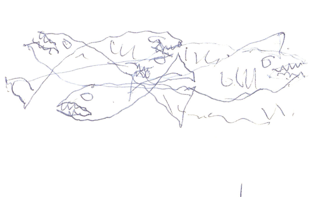 Pez emperrado, por Rui Lacerda