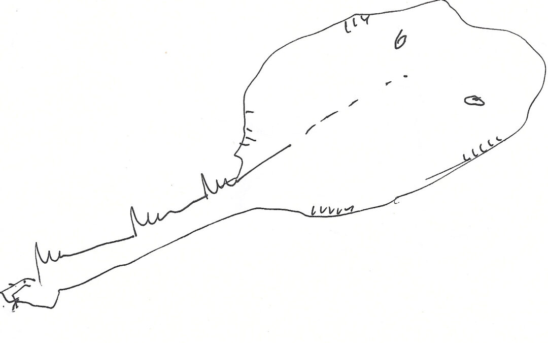 Pez torpedo, por Renata Sentkiewicz