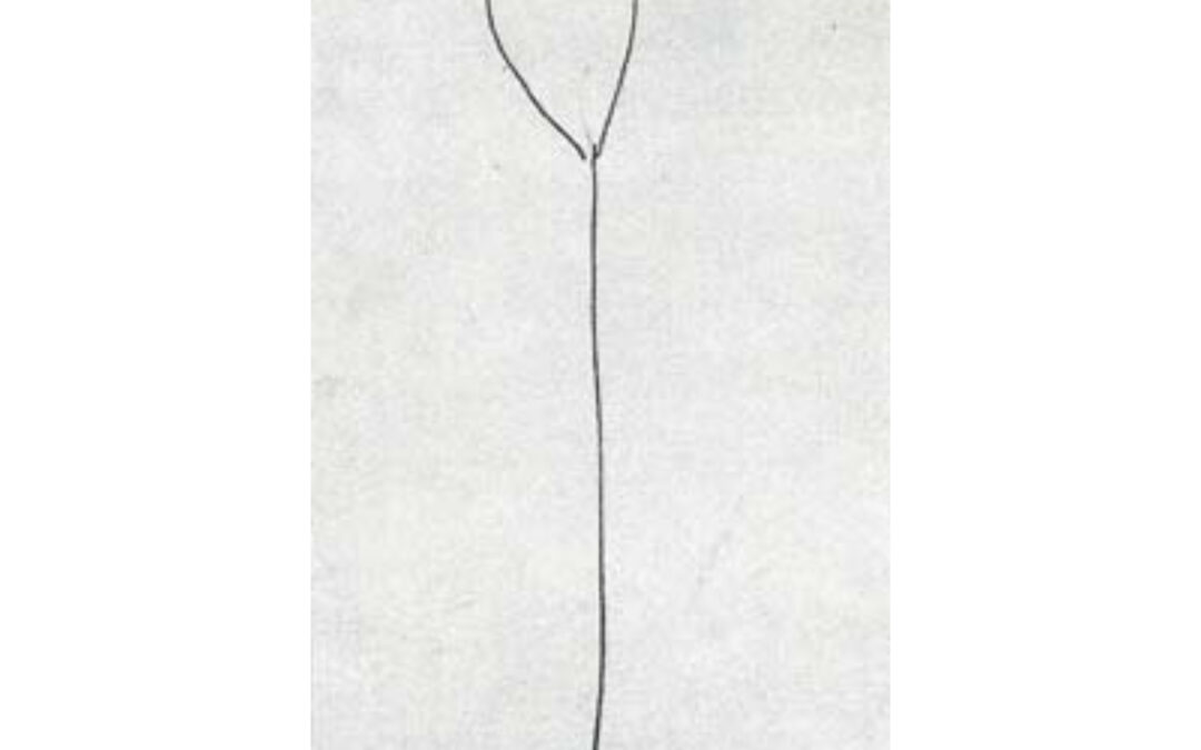 Pez Lámpara, por Josep Lluis Canosa