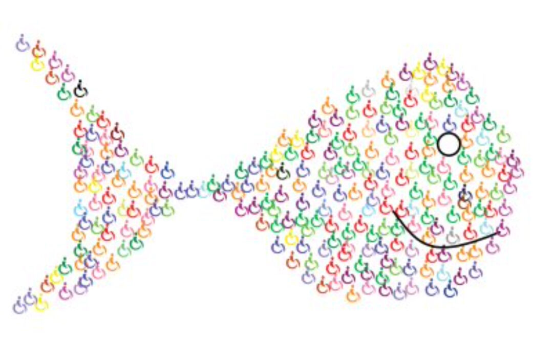 Pez Silla, por Enrique Rovira-Beleta y Anna Folch