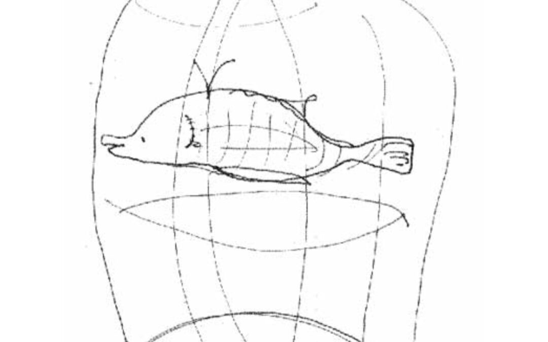 Pez Interioragbar, por Gerardo García-Ventosa