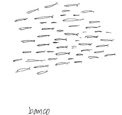 Pez Pescado, por Roque Viejo