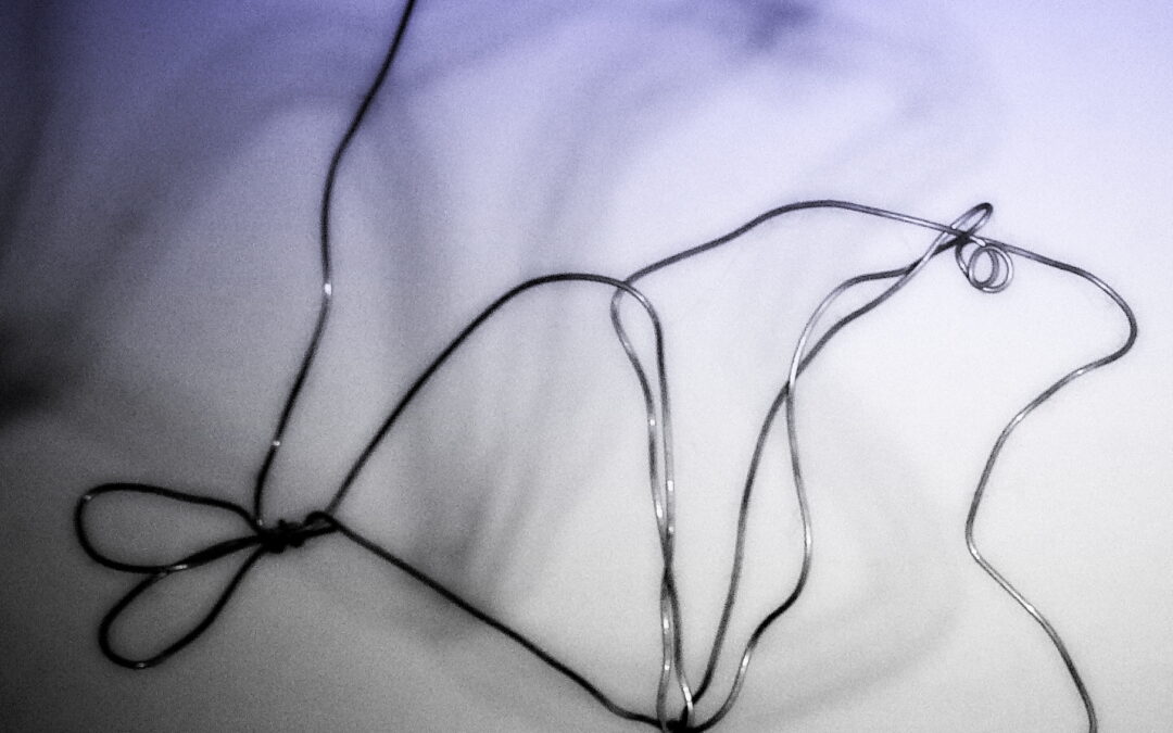 PezAsombro, por Belén Gómez Navarro