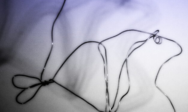 PezAsombro, por Belén Gómez Navarro