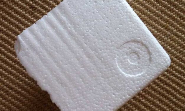 Pezexpan, por Iria Sobrino y Rai Iglesias