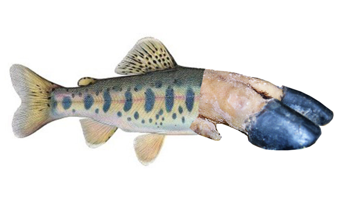 Pezuña, por Bernardo Angelini y David Casino