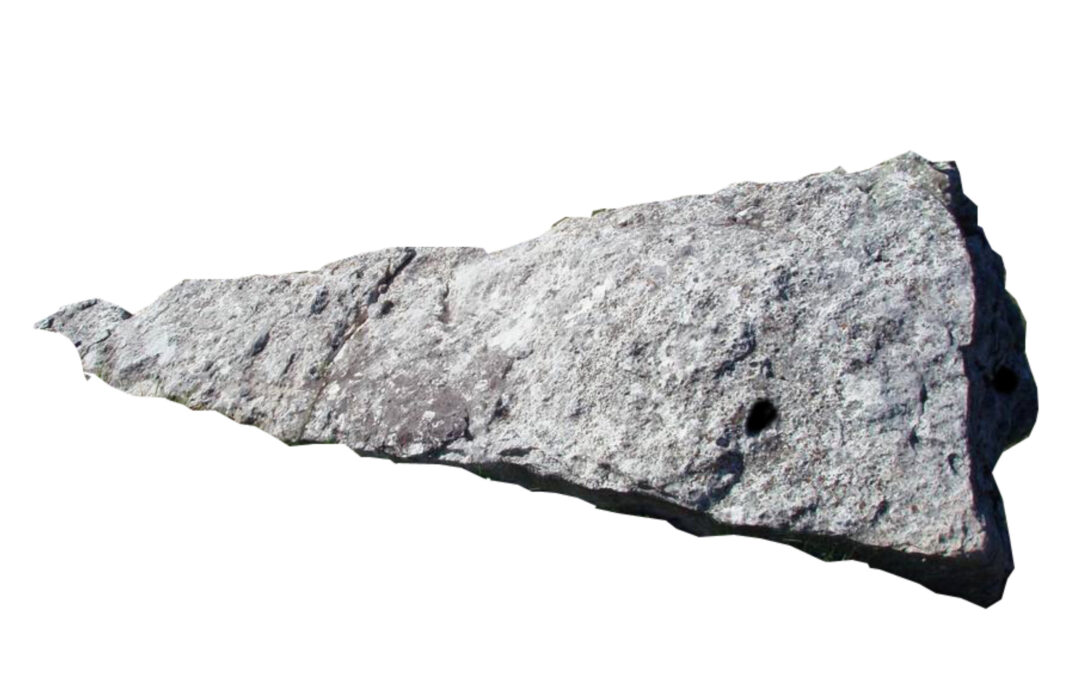 Pezao, por Tomeu Ramis