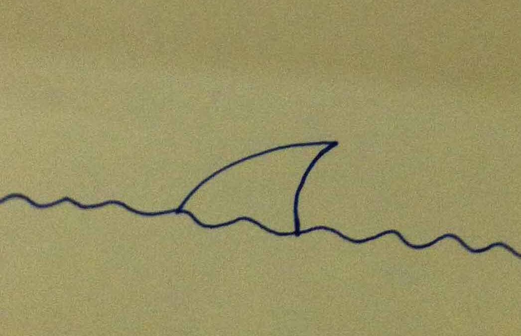 Tiburón, por Arturo Franco