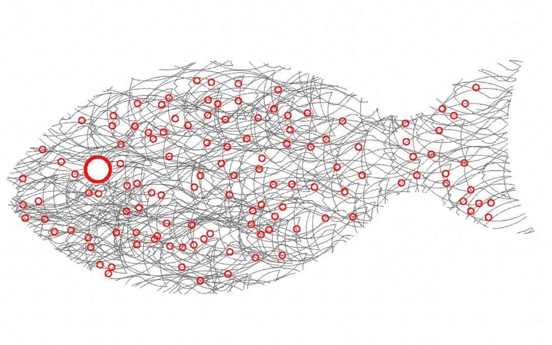Pez de peces, por Carlos Pereda