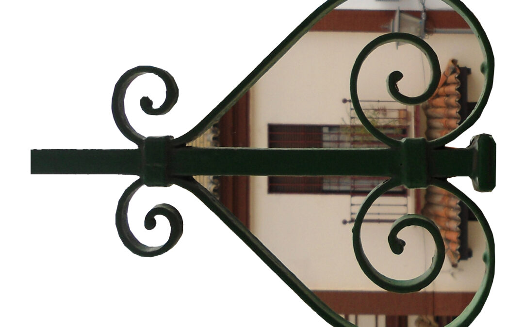 Pez reja, por Eva Morales