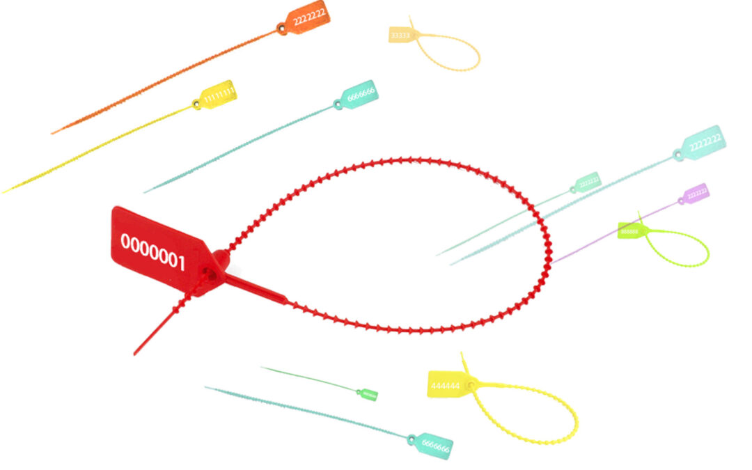 PEZinto, por Sergio Sebastián