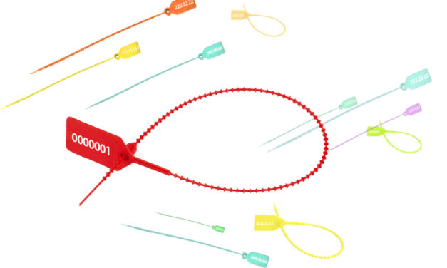 PEZinto, por Sergio Sebastián