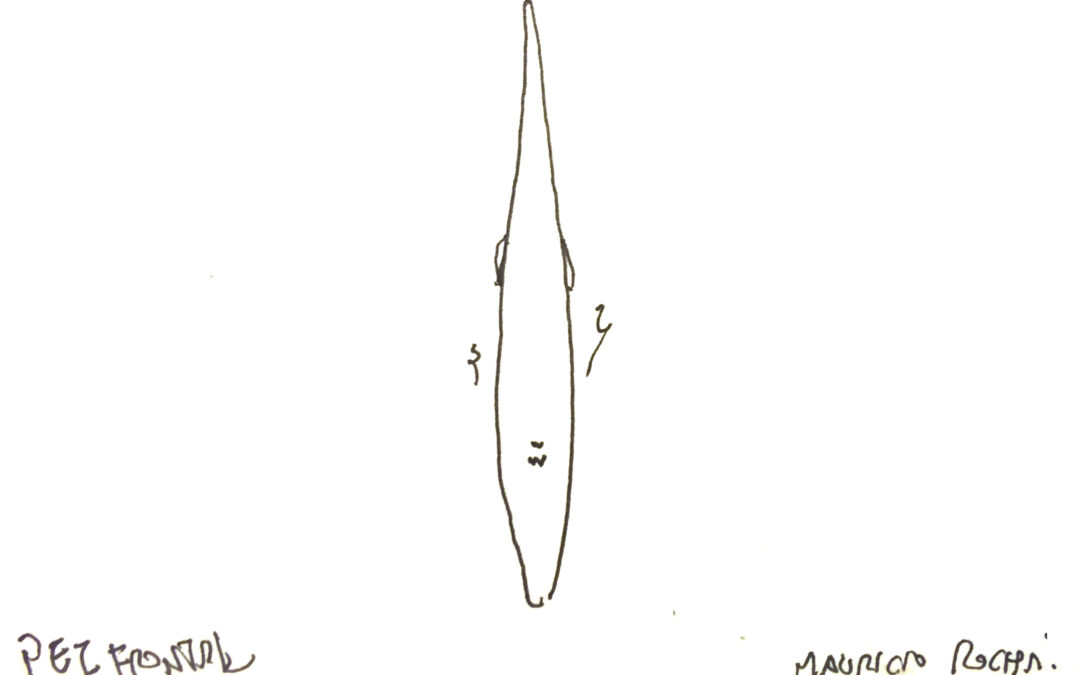 Pez Frontal, por Mauricio Rocha Iturbide