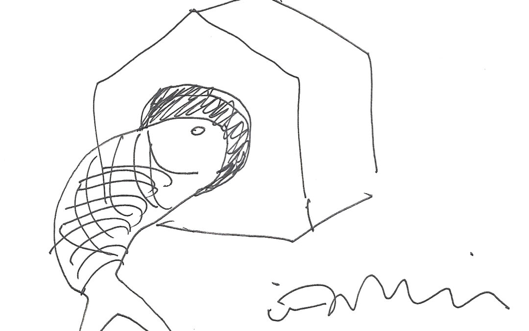 Pez mirando, por Iñaki Ábalos