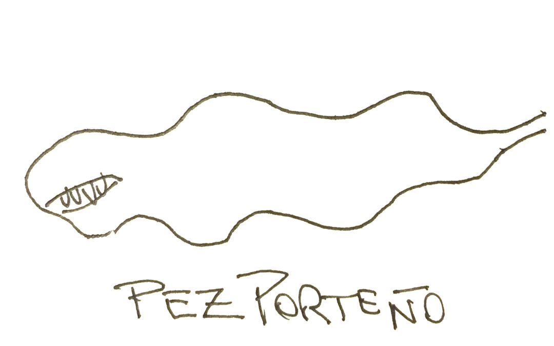 Pez Porteño, por Ricardo Blinder