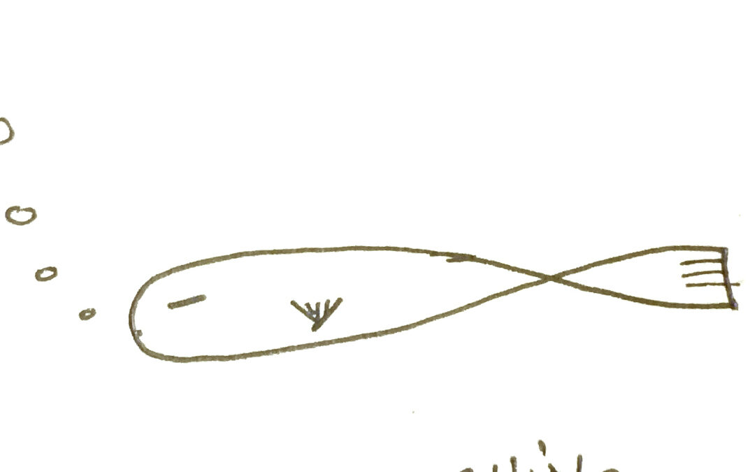 Pez Chino, por Romina Tannenbaum