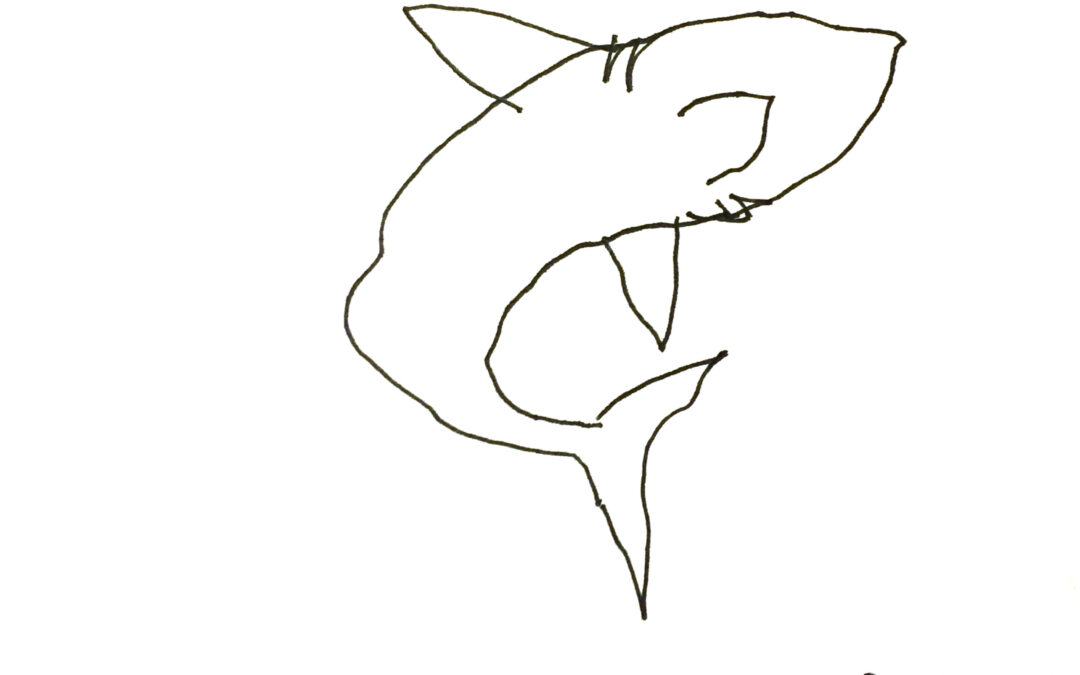 Tubarão, por Álvaro Puntoni