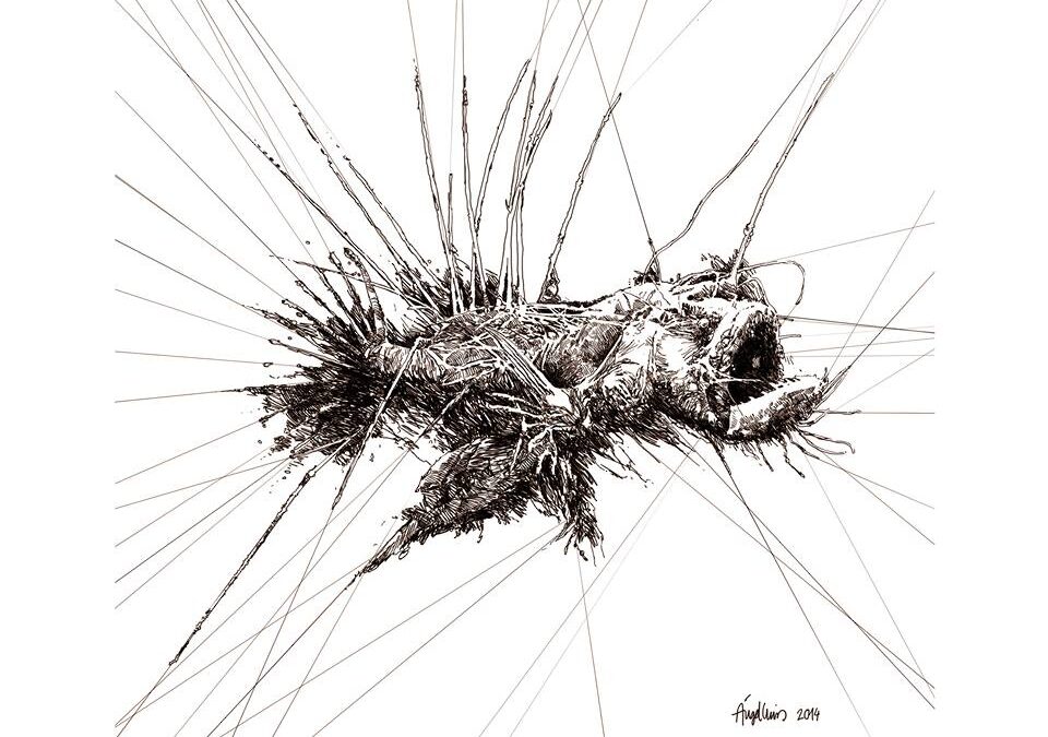 Pez atrapado (abisal), por Ángel Luis Tendero Martín